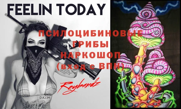 дмт Аркадак