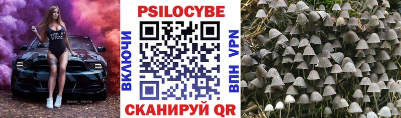 Галлюциногенные грибы Cubensis  купить наркотик  Кологрив 